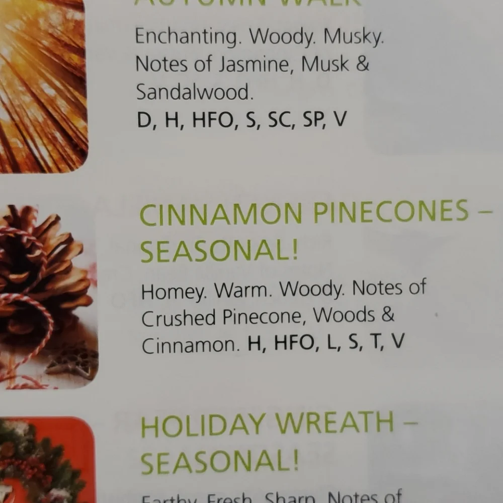 Gold Canyon cinnamon pinecones
